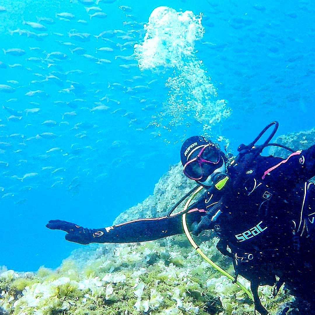 corso lionfish